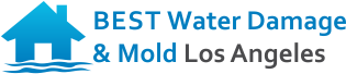 BEST Water Damage & Mold Los Angeles